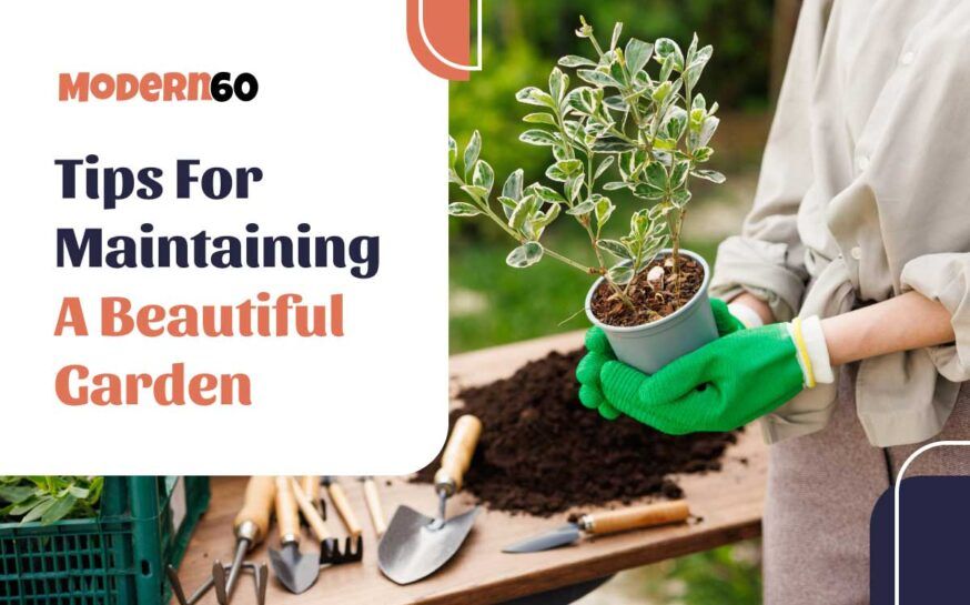 Tips for maintaining a neat and beautiful garden