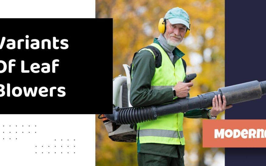 Different Types Of Leaf Blowers