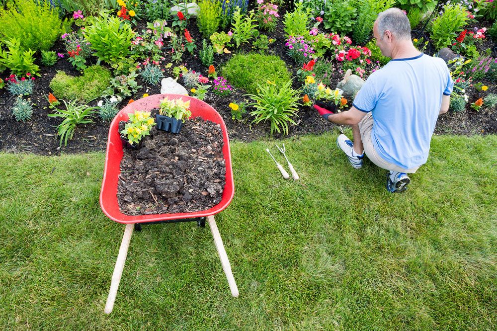 Senior man enjoying the gardening