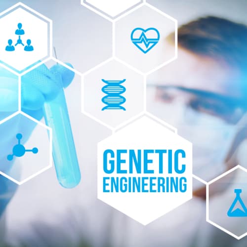 Obesity can negatively affect your genes