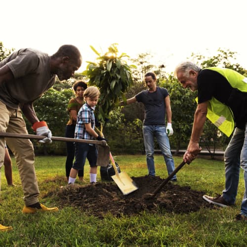 Different age groups digging the ground for planting trees at Garden 
