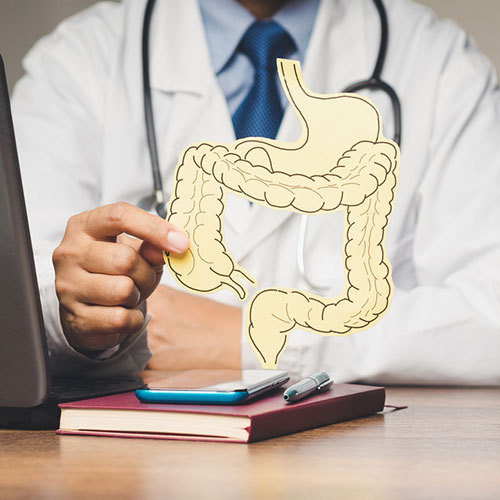 Doctor holding Intestine dummy