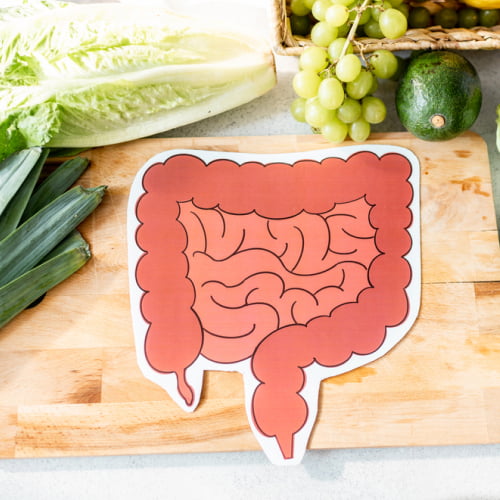 Probiotics rich food