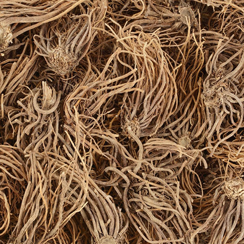Valerian root