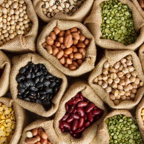 Legumes and Nuts