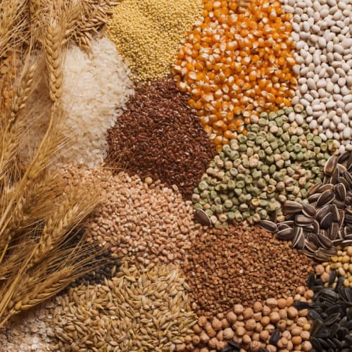 Grains and Cereals