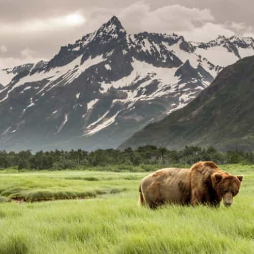 Alaska