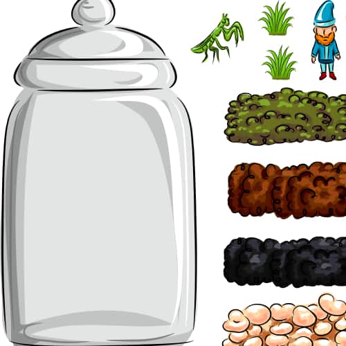 Build a terrarium