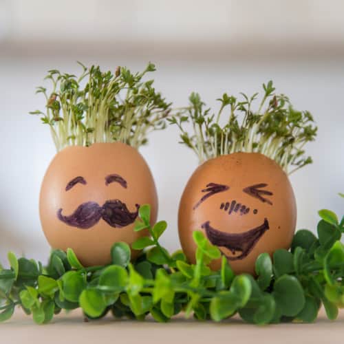 Design cress heads