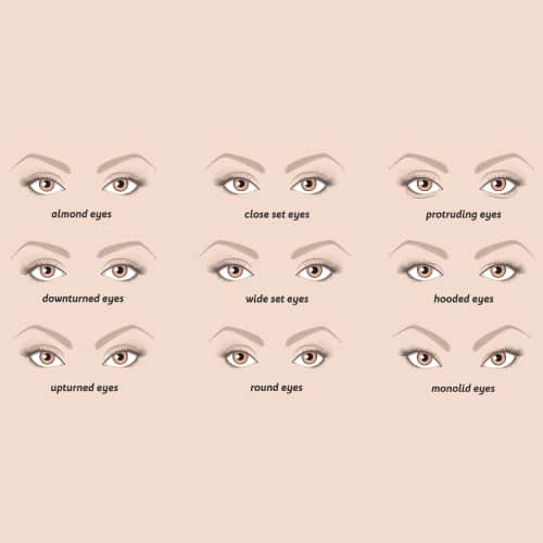 Representation of different types of eyes