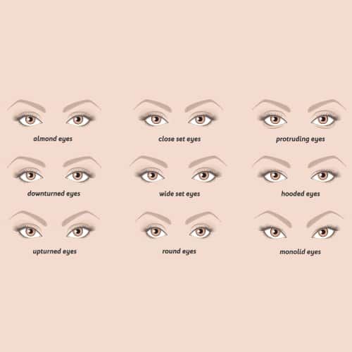 Representation of different types of eyes