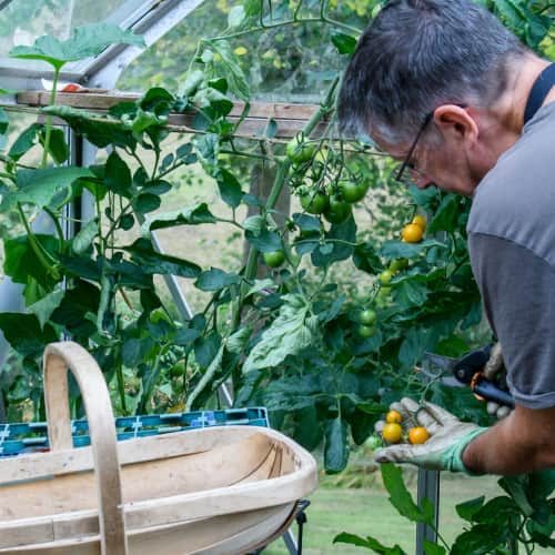 Learn about other fields of interest