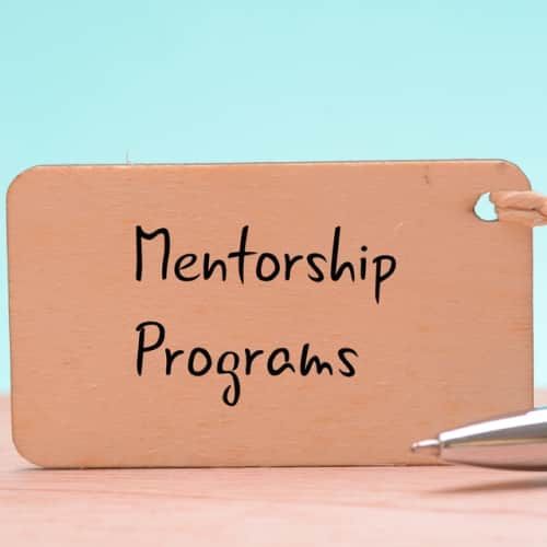 Mentorship programs for Seniors