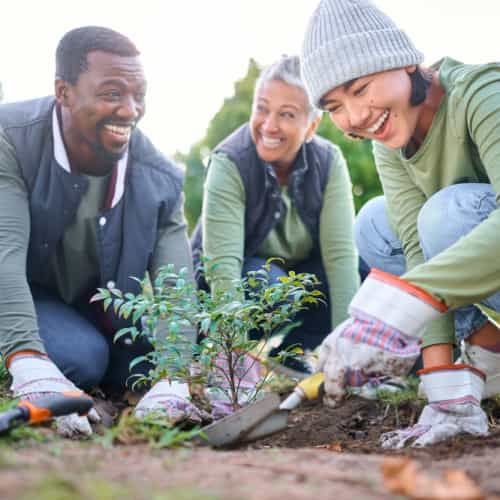 Engage in community gardening