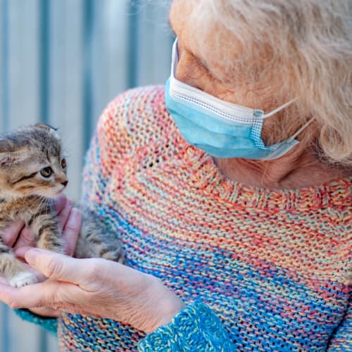 Animal welfare volunteering