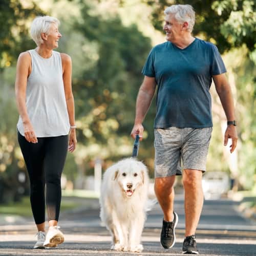 Seniors walking in the park