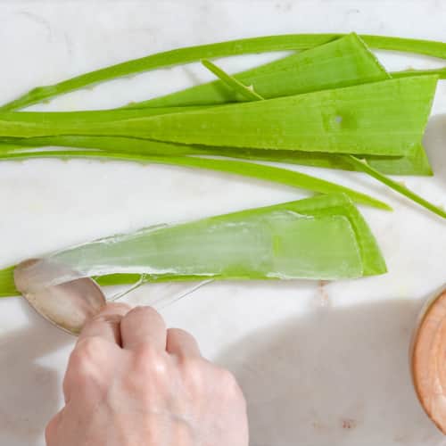 Aloe vera face mask