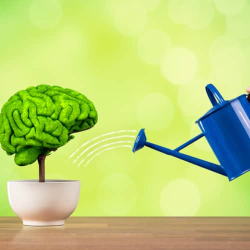 Enhanced cognitive functioning