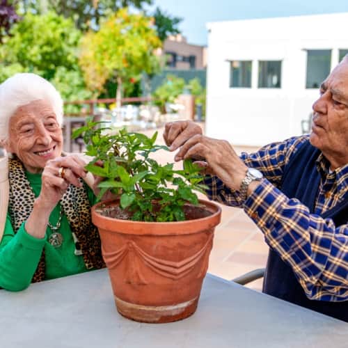 Individuals with Alzheimer's or dementia experience issues with memory.