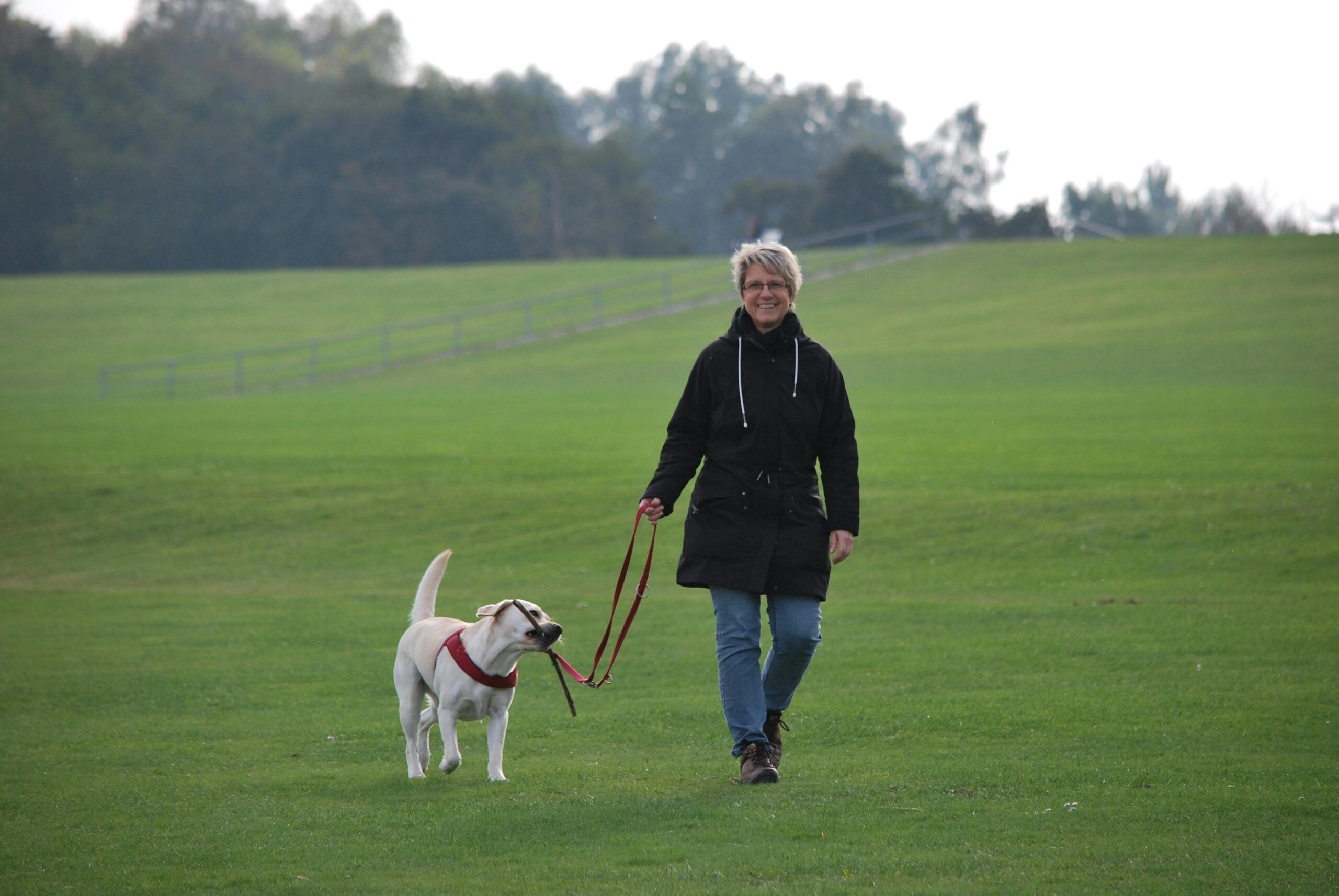 Combine Joy and Earnings with Pet Sitting or Dog Walking