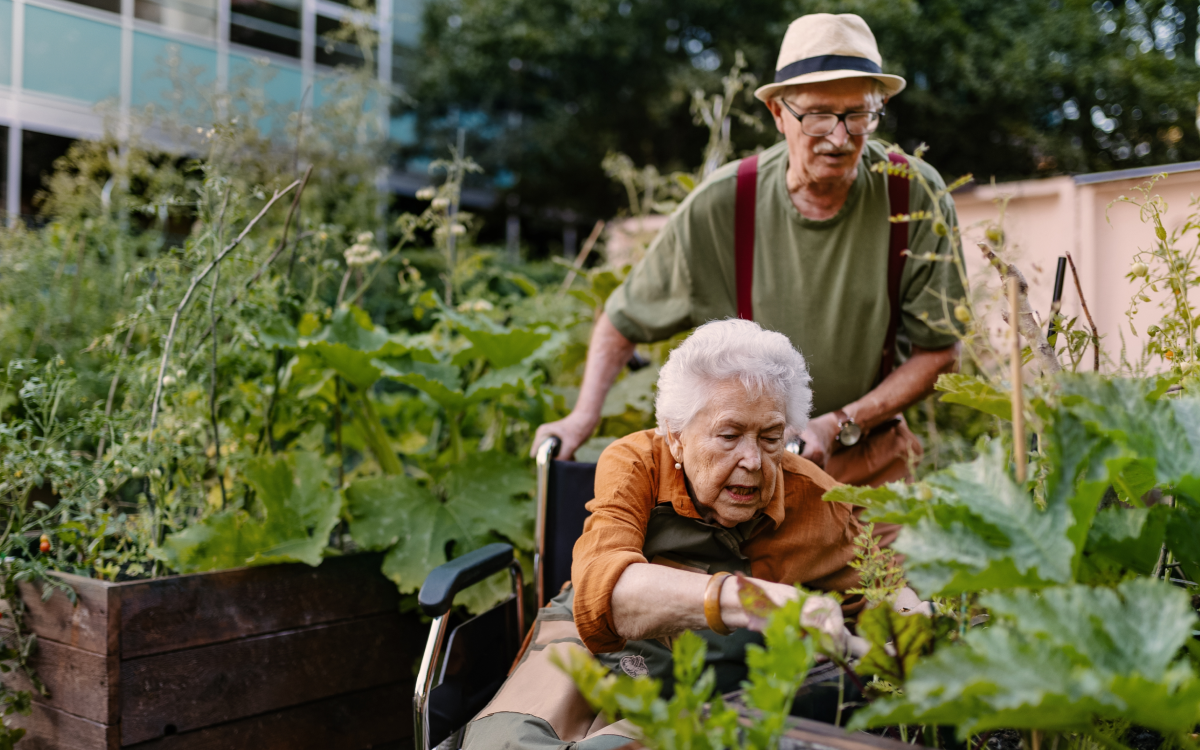 Gardening