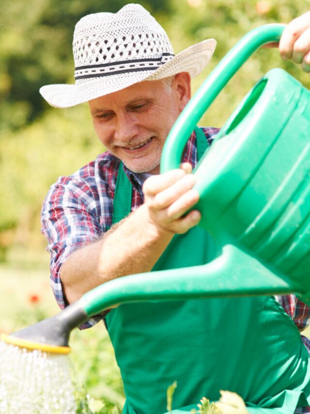 Essential Gardening Tips for Seniors