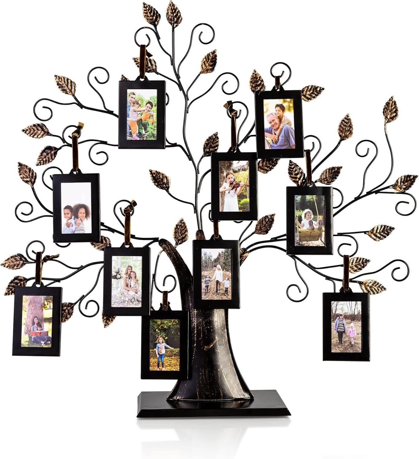 Family Photo Displays