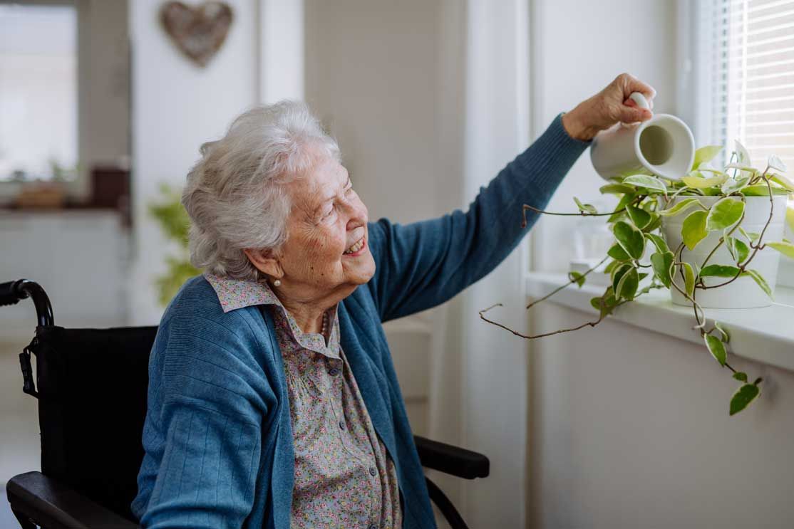 Add More Plants for a Lively Home