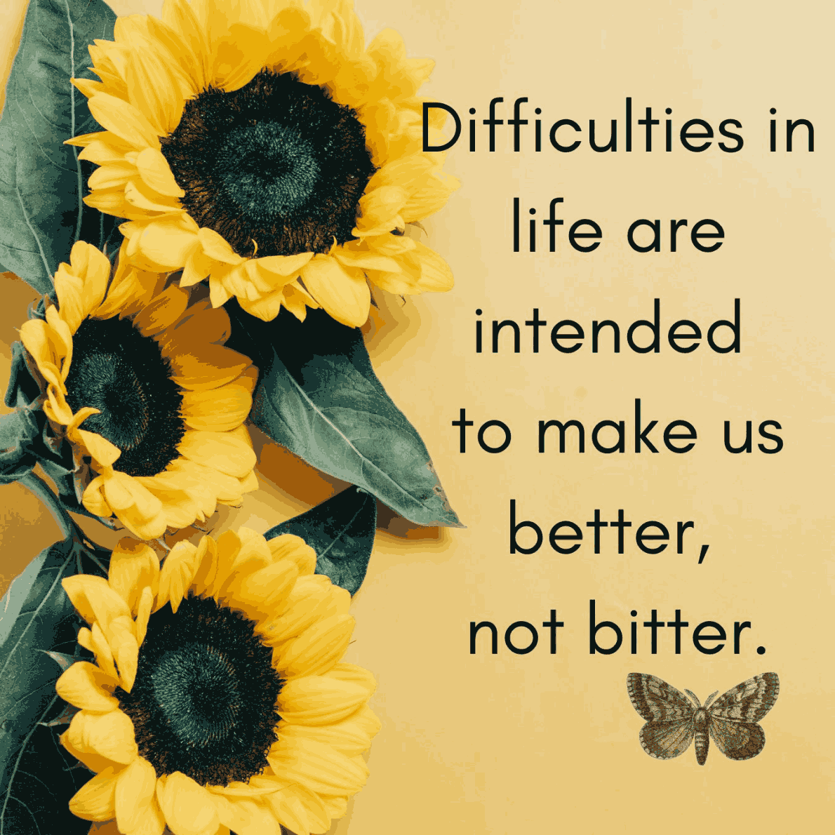 Monday Musings