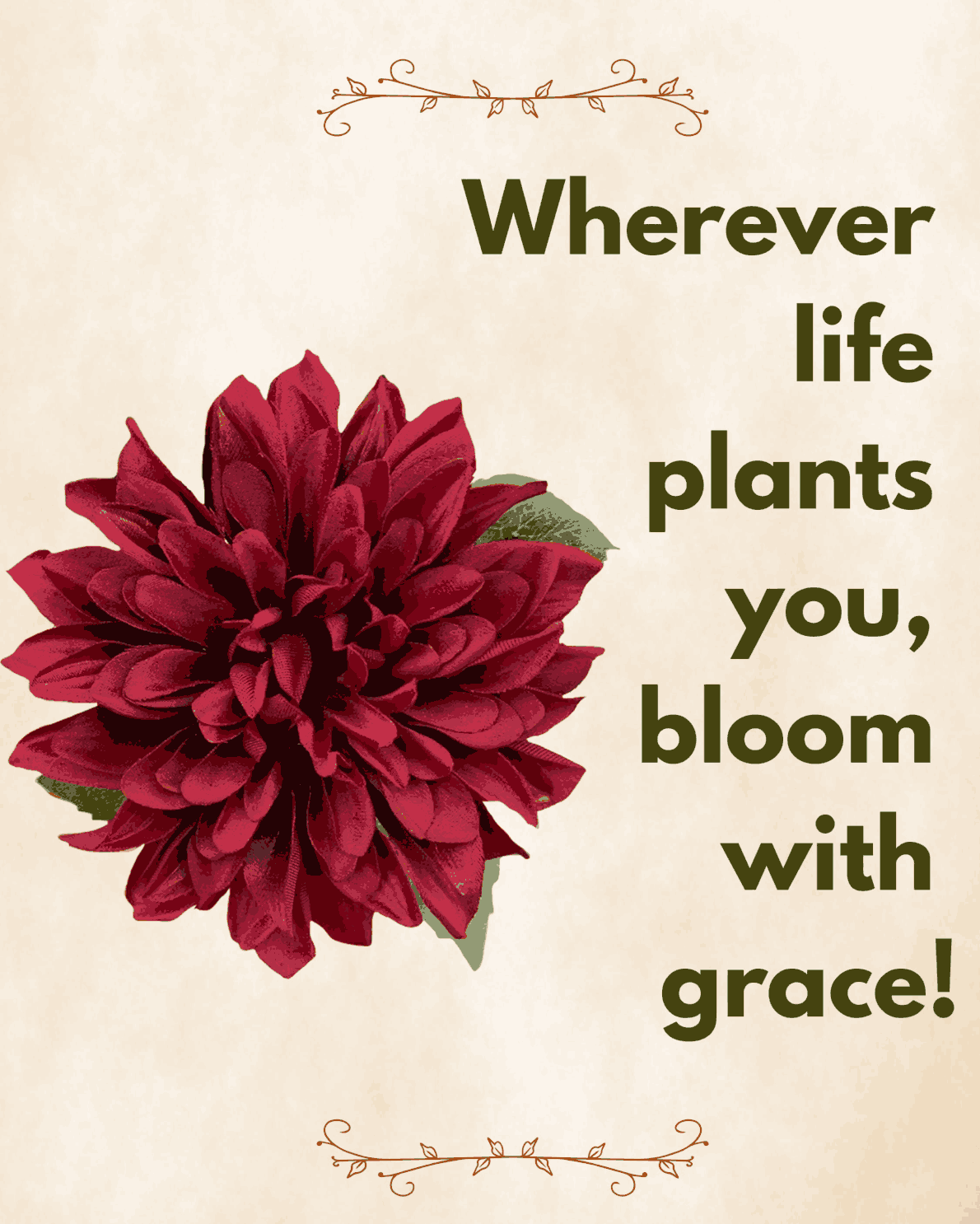 Wednesday Wisdom