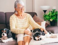 6 Ways to Find Comfort and Routine in a Pet’s Companionship