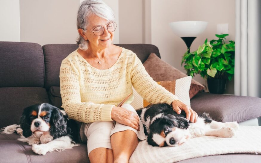 6 Ways to Find Comfort and Routine in a Pet’s Companionship