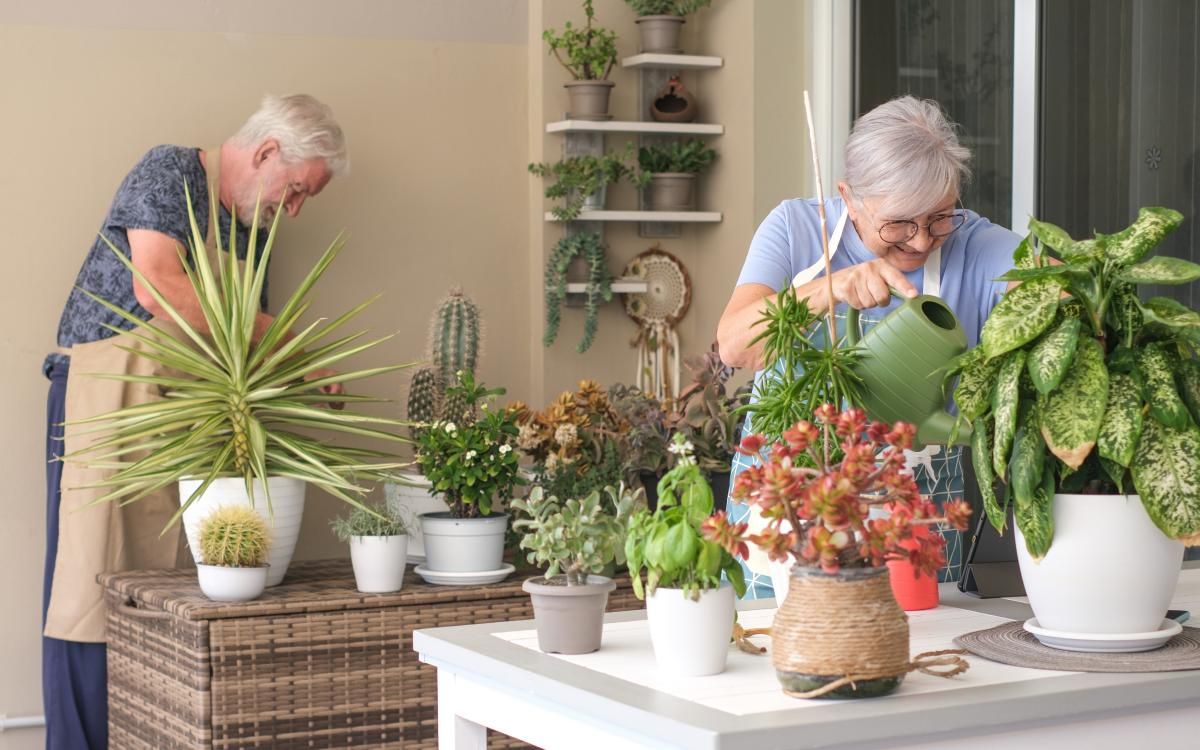Creating Home and Garden Spaces for Senior-Friendly Living