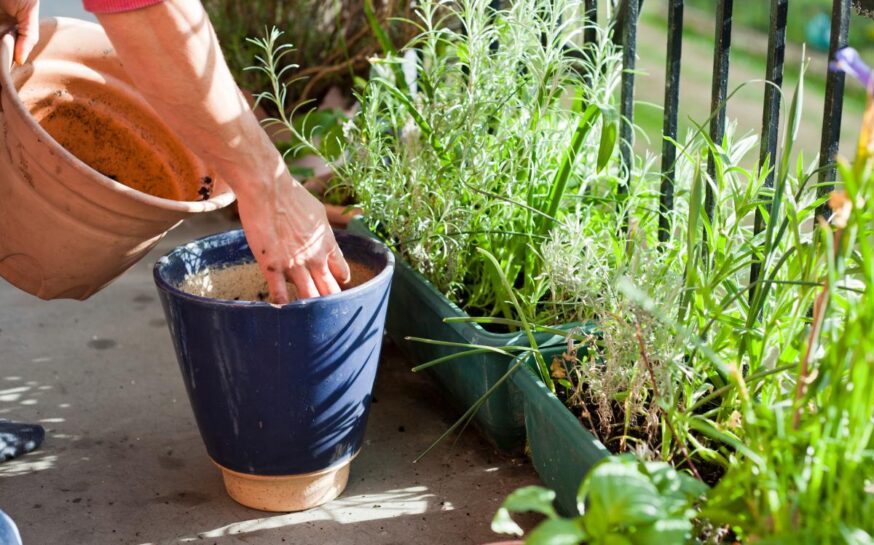 Easy Gardening Tips for Small Spaces and Balconies