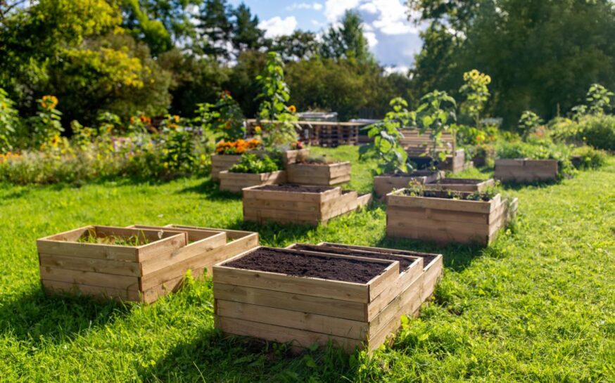 Raised Garden Beds – Benefits and Maintenance Tips for Seniors
