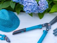 8 Easy-to-Carry Tools That Add Joy to Every Gardening Task