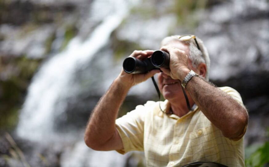Key Things to Know for a Great Start in Birdwatching