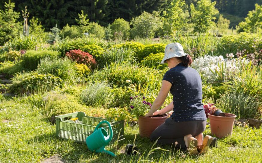 Low-Water, Low-Maintenance Landscaping Ideas