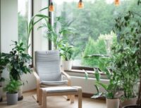 7 Eco-Friendly Home Improvements That Pay Off