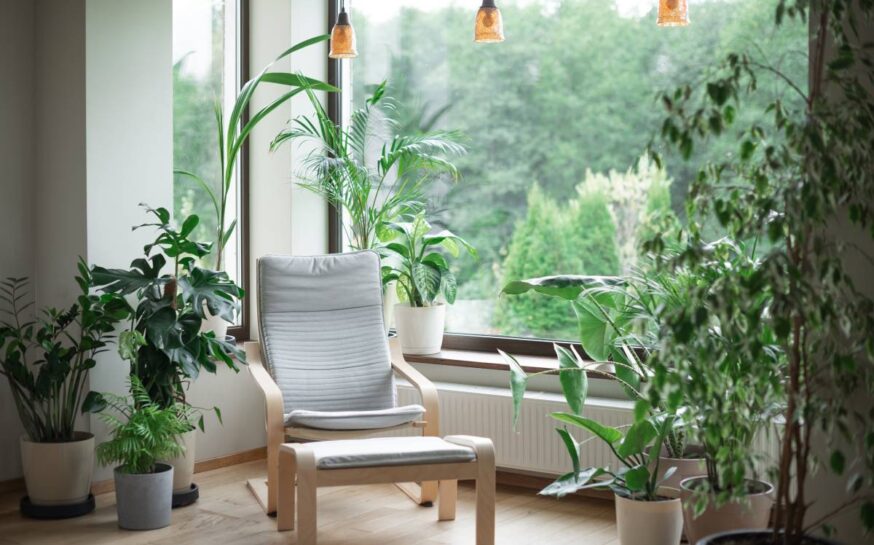7 Eco-Friendly Home Improvements That Pay Off