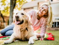 Pets That Bring Joy and Comfort to Everyday Life