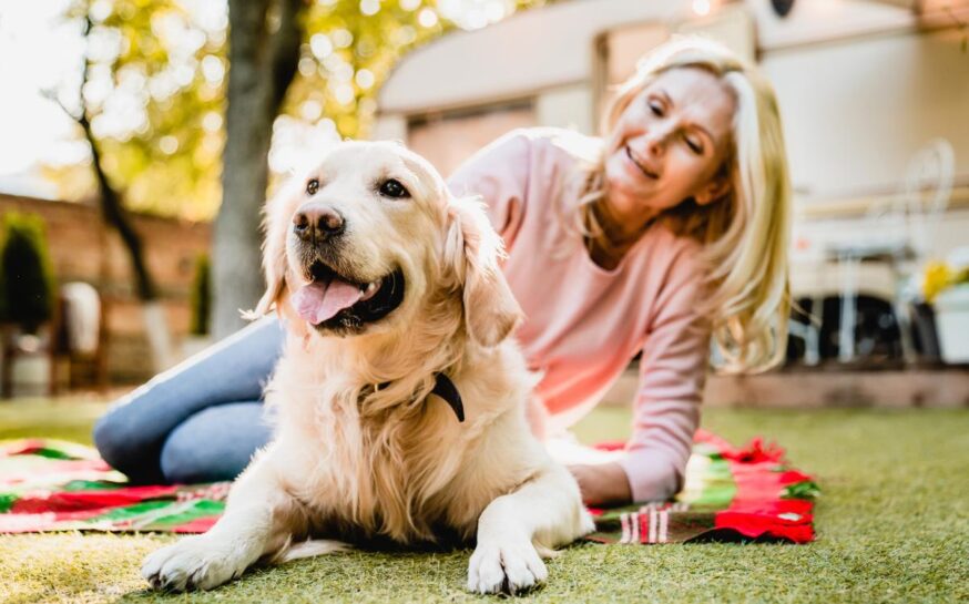 Pets That Bring Joy and Comfort to Everyday Life