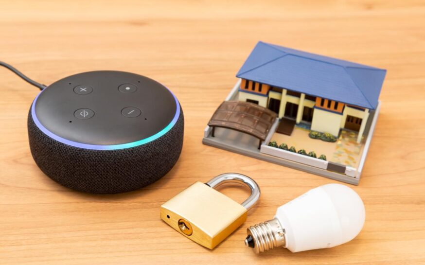 6 Ways Alexa and Google Assistant Simplify Everyday Security