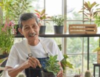 Clever and Easy Gardening Ideas for Seniors With Limited Mobility